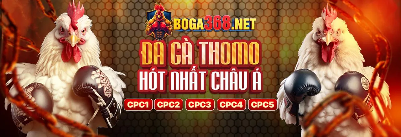 Hình ảnh chính về Tuân Thủ GDPR của 8kbet8