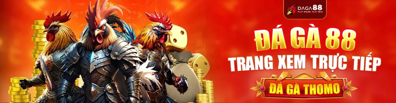 Sân đấu đá gà trực tuyến sôi động tại 8kbet8