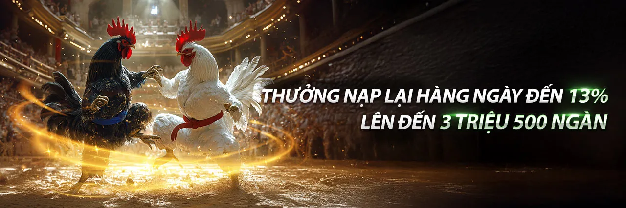 Sảnh cá cược hiện đại của 8kbet8 trang chủ chính thức