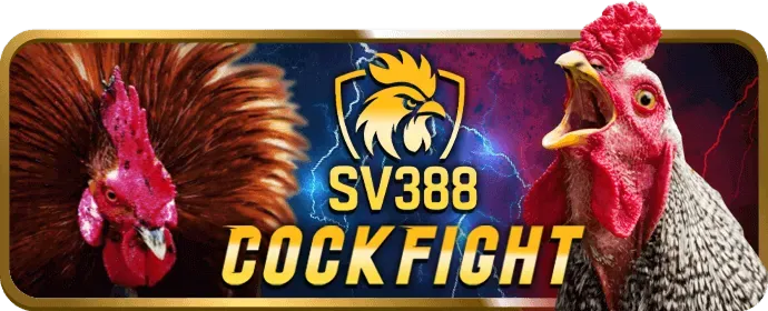 Chính sách cá cược có trách nhiệm của 8kbet8